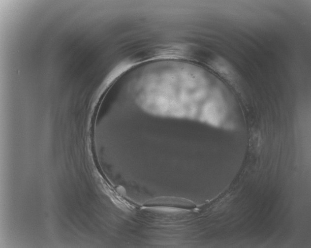 X0000080731427200612221241