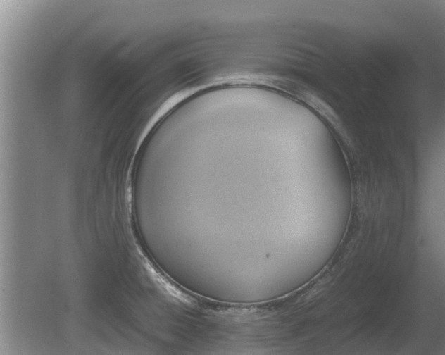 X0000080731428200612221241