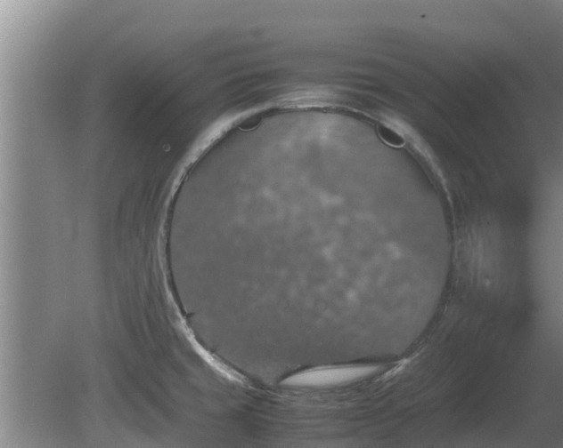 X0000080731429200612221241