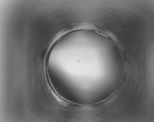 X0000080731430200612221241