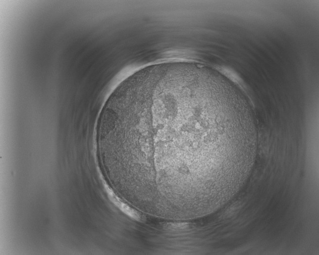 X0000080731431200612221241