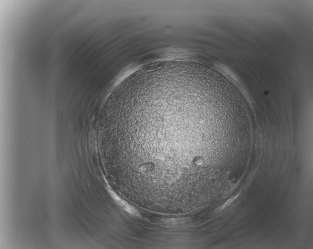 X0000080731433200612221241