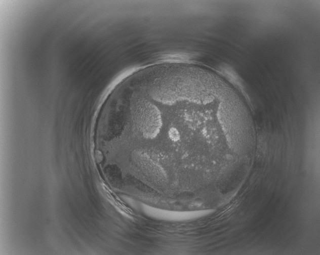 X0000080731435200612221241