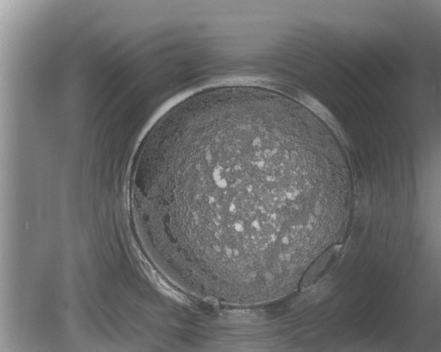 X0000080731436200612221241