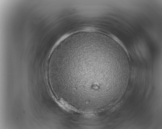 X0000080731437200612221241