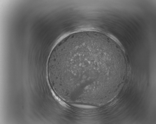 X0000080731439200612221241