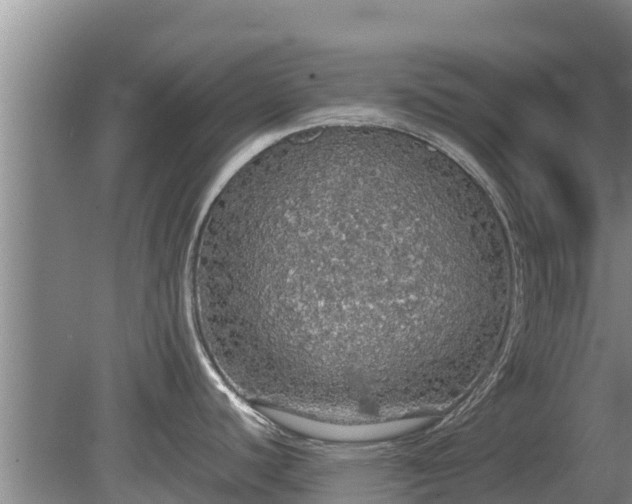 X0000080731440200612221241