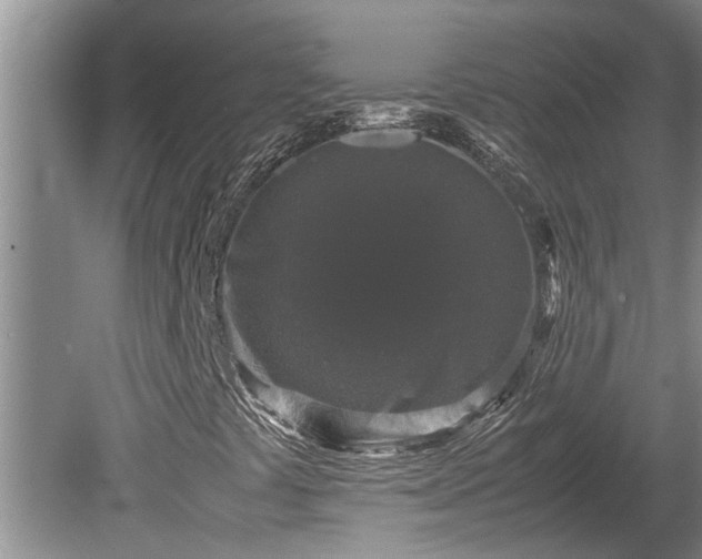 X0000080731441200612221241