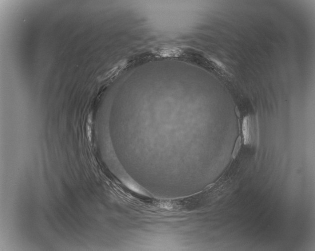 X0000080731443200612221241