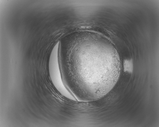 X0000080731444200612221241