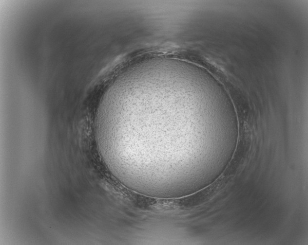 X0000080731447200612221240