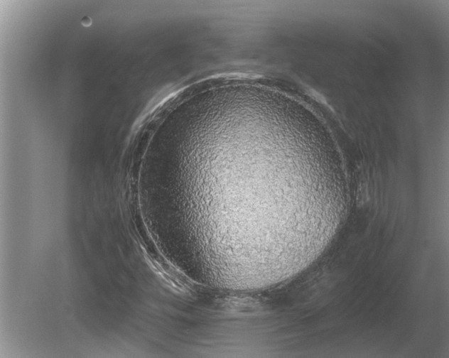 X0000080731448200612221240