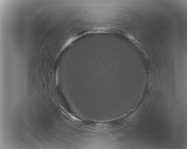 X0000080731449200612221240