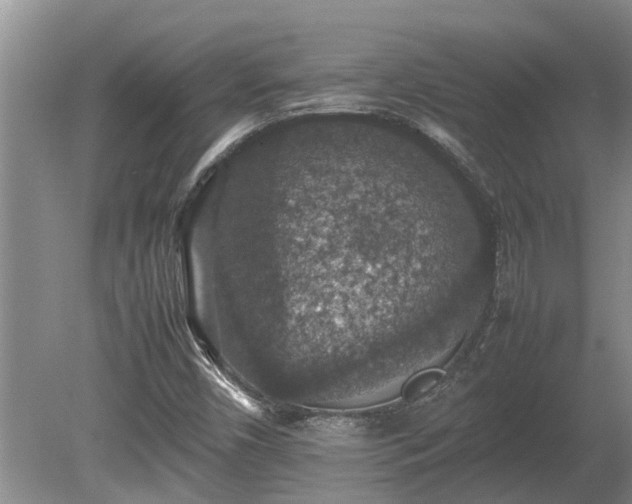 X0000080731450200612221240