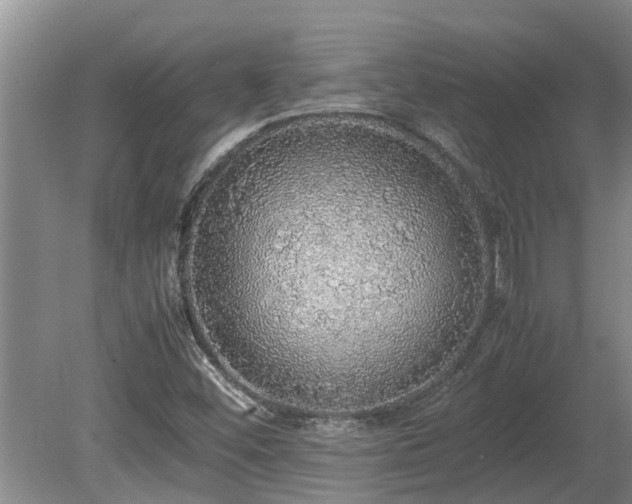 X0000080731452200612221240