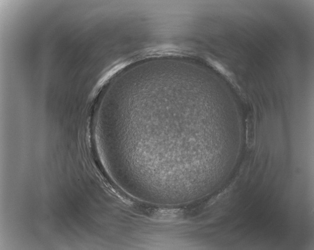 X0000080731453200612221240