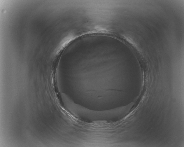 X0000080731455200612221240