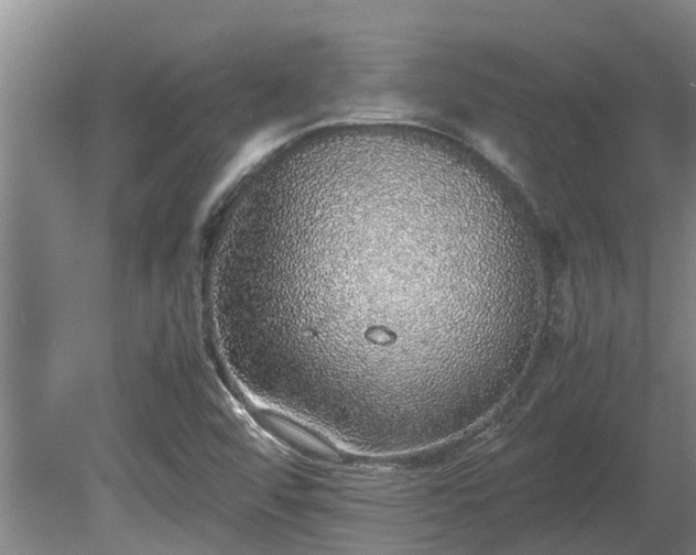 X0000080731456200612221240