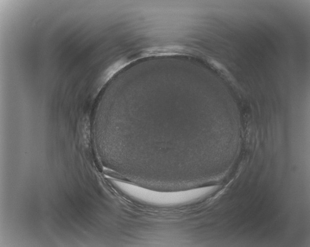 X0000080731457200612221240