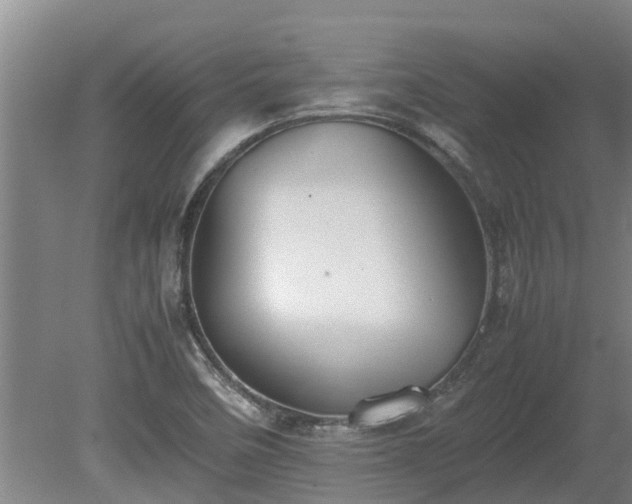 X0000080731458200612221240