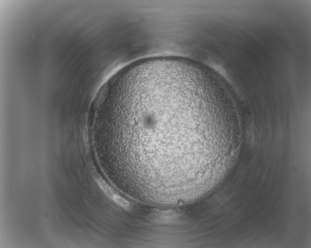 X0000080731460200612221240