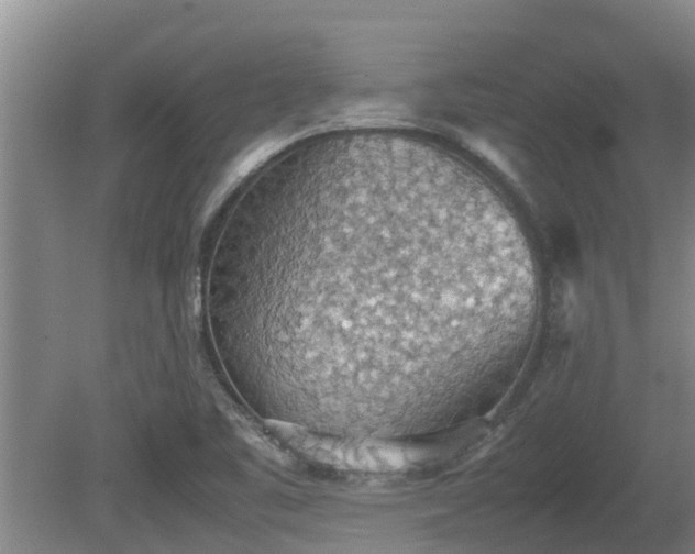 X0000080731461200612221240