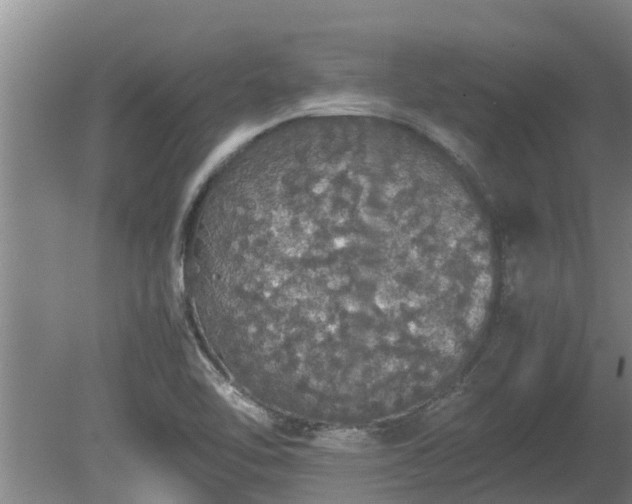 X0000080731462200612221240