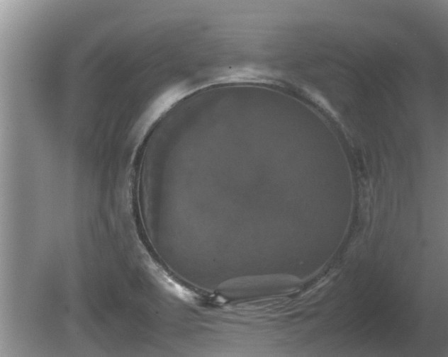 X0000080731463200612221240