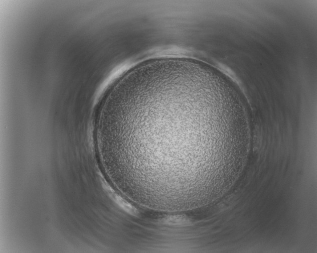 X0000080731464200612221240