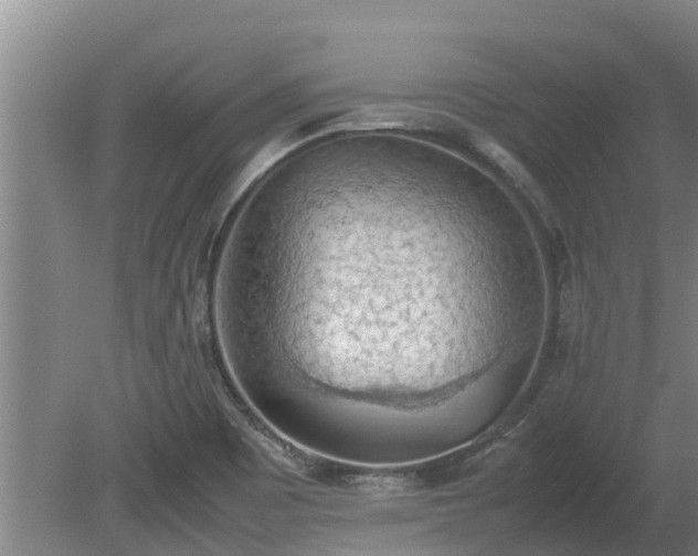 X0000080731465200612221240