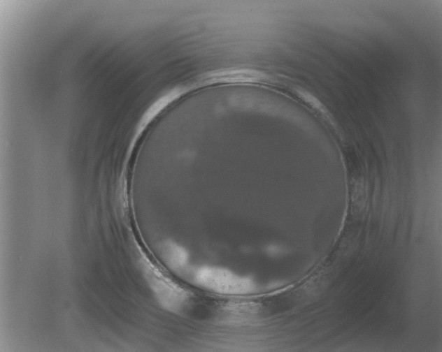 X0000080731466200612221240