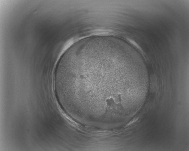 X0000080731467200612221240