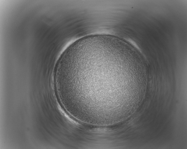 X0000080731468200612221240