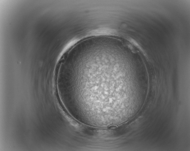 X0000080731469200612221240