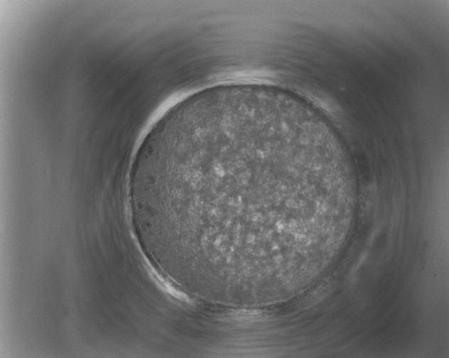 X0000080731470200612221240