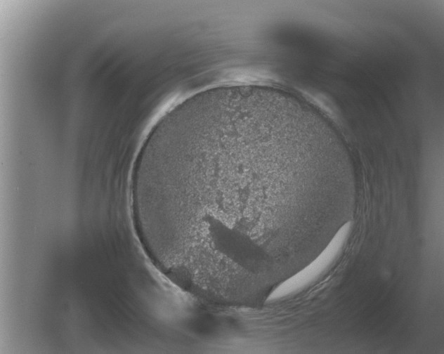 X0000080731471200612221240