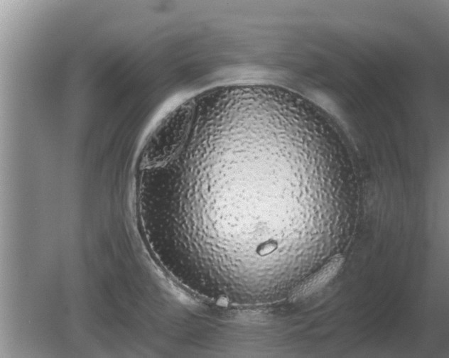 X0000080731472200612221240