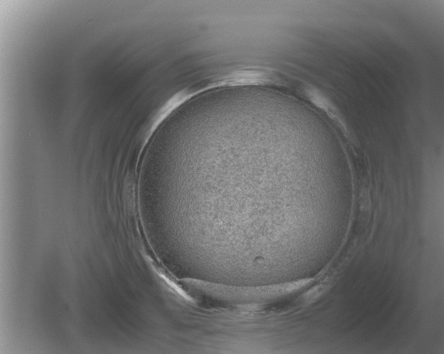 X0000080731473200612221240