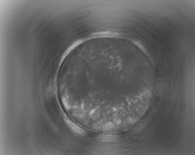 X0000080731474200612221240