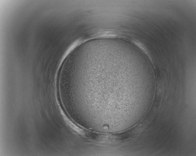 X0000080731475200612221240