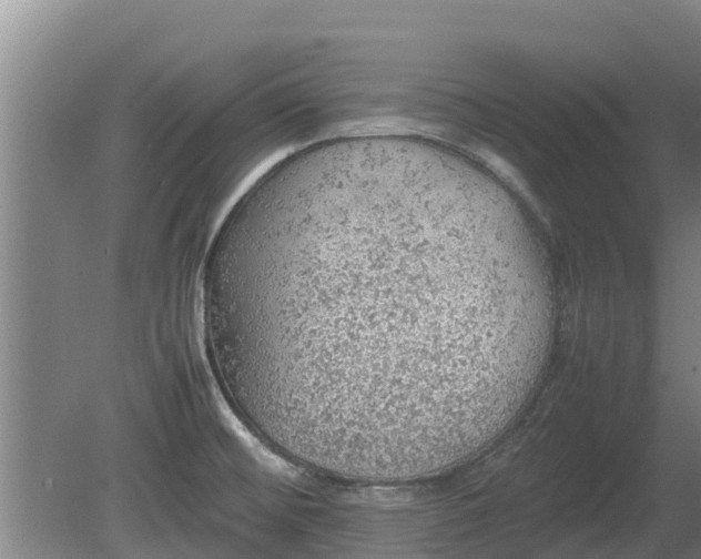 X0000080731476200612221240