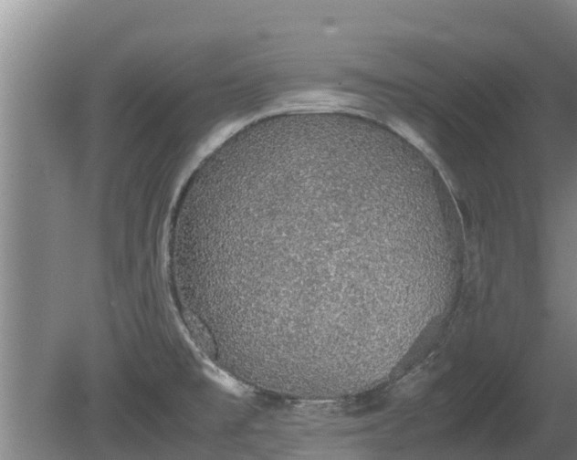 X0000080731477200612221240