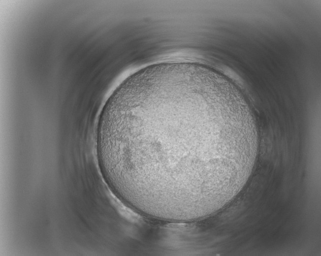 X0000080731478200612221240