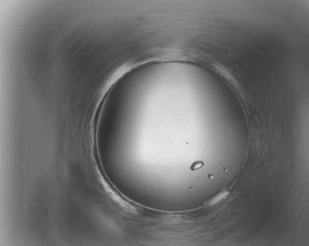 X0000080731479200612221240