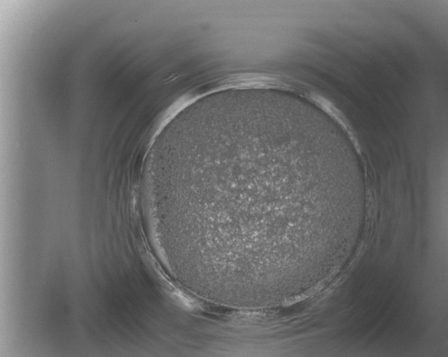 X0000080731481200612221240