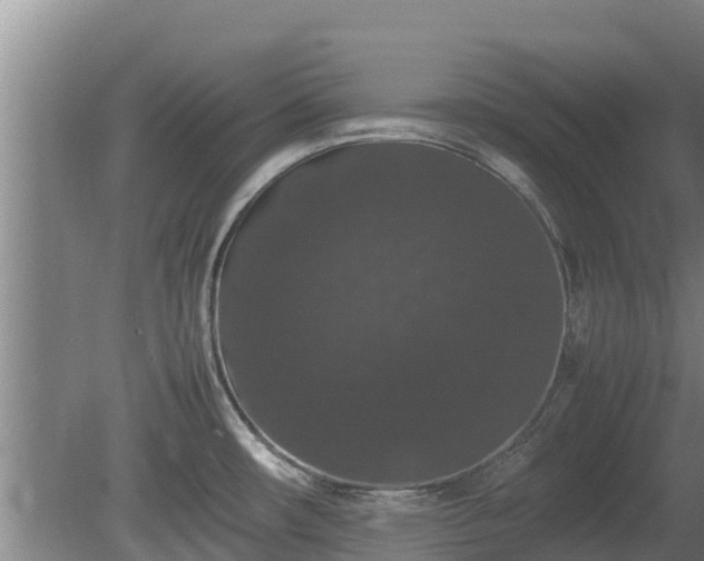 X0000080731482200612221240