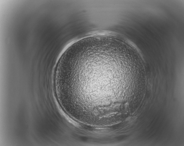 X0000080731483200612221240