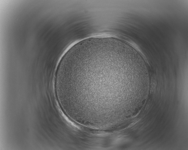 X0000080731484200612221240