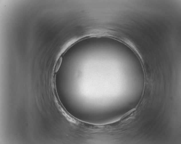 X0000080731485200612221240