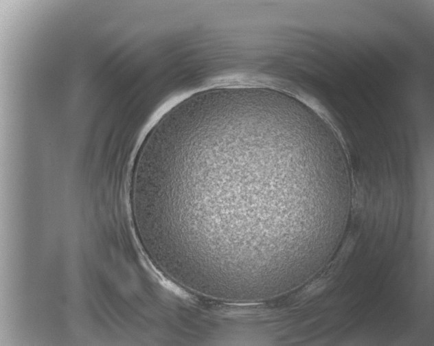 X0000080731486200612221240